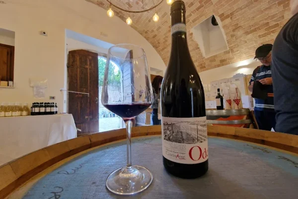 Ristorante Il Caminetto