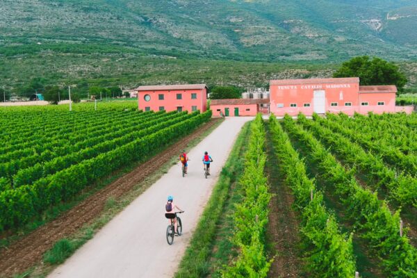 Ristorante Il Caminetto